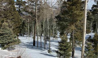 Lot 75 Via de Maria, Angel Fire, NM 87710