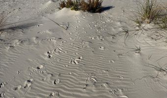 1187 Alligator Dr, Alligator Point, FL 32346