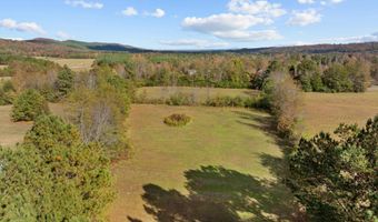 000 ARMSTRONG Rd 1, Ashville, AL 35953