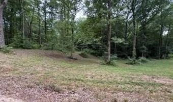 954 Stokes Ln, Bath Springs, TN 38311