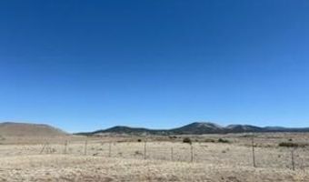 345 CR N3540, Concho, AZ 85924