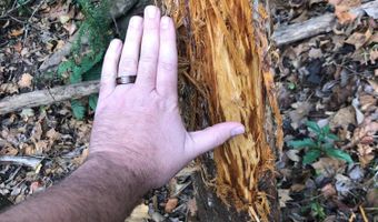 001 Farr Rd, Bolton, MS 39041