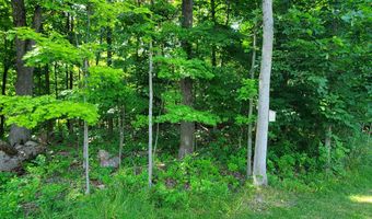 111 Depot Hill Ct, Allegan, MI 49010