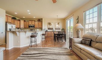 16282 Red Mountain Way, Broomfield, CO 80023