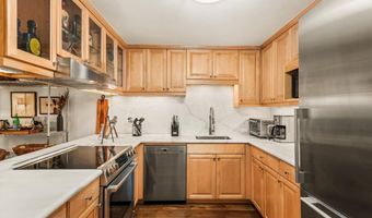 205 E Durant Ave 1-B, Aspen, CO 81611