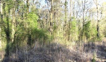 LR 29, Ashdown, AR 71822