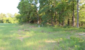 2631 Charlie Johnson Rd, Bethune, SC 29009