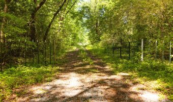 Beech Bluff Road, Beech Bluff, TN 38313