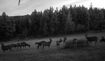 28111 County Rd 41.4, Aguilar, CO 81020