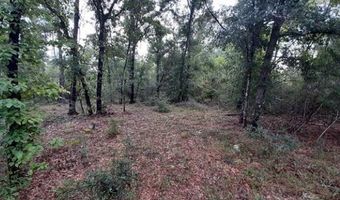 Lot 40 Alene Dr, Alford, FL 32420