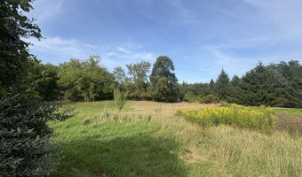 10555 68th St SE, Alto, MI 49302