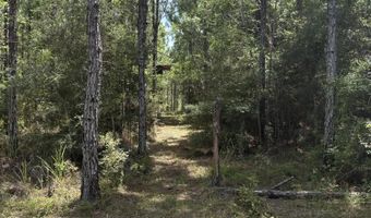 259 Forest Lake Rd, Beaumont, MS 39423