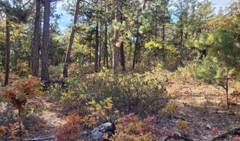 605 PINE CREEK Rd, Bickleton, WA 99322