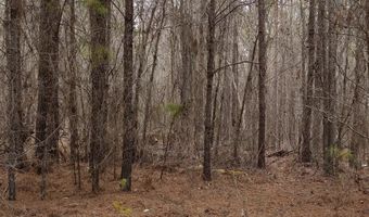 0 HWY 220 TRACT B, Lincolnton, GA 30817