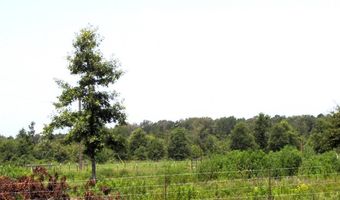 138 Little River 183, Ashdown, AR 71822
