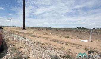 E Harkness Road, Carlsbad, NM 88220