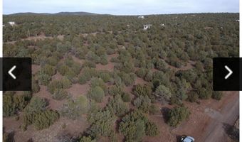 3076 Acr Lot, Vernon, AZ 85940