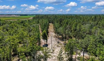 7000 NW 7th Way, Bell, FL 32619