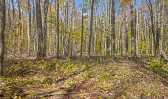 419 Algerine St, Afton, NY 13730