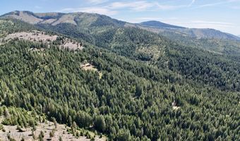 1710 Tower Mountain Rd, Blanchard, ID 83804