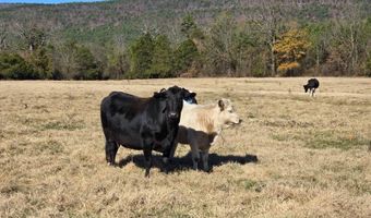 10 TBD Bates Arkansas, Bates, AR 72958