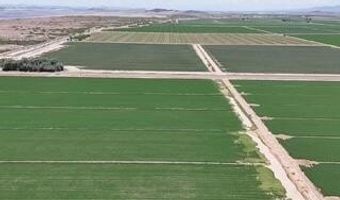 W Desert Rose Road, Arlington, AZ 85322