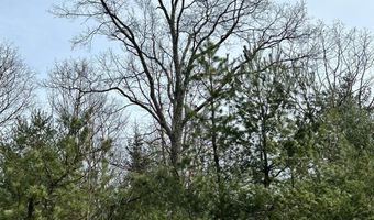 385 ELK CREEK Rd, Aaronsburg, PA 16820