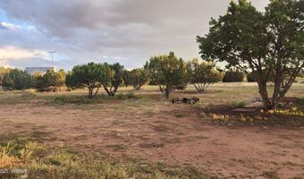 16 Clubhouse Ln, Concho, AZ 85924