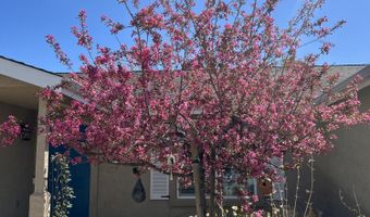 1371 White Bluffs Cir, Fernley, NV 89408