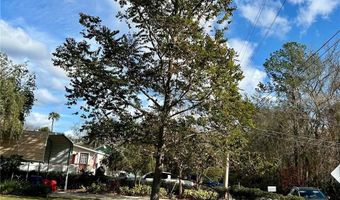 55730 HOLIDAY Cir, Astor, FL 32102