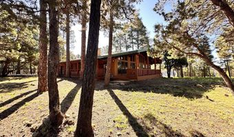102 Pine Cone Ln Lot 45A, Alto, NM 88312