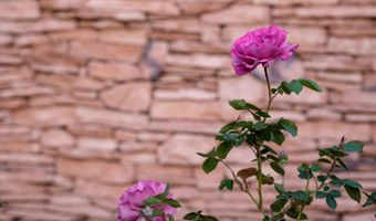 927 CAMINO VISTA RIO, Bernalillo, NM 87004