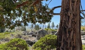 Kingsbury Grade, Gardnerville, NV 89460