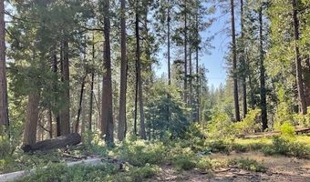 3229 Ponderosa Rd, Arnold, CA 95223