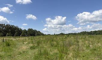 Beauty Hill Rd lot 3, Bethel Springs, TN 38315