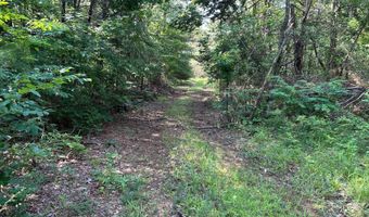 0 County Road 217, Blue Springs, MS 38828