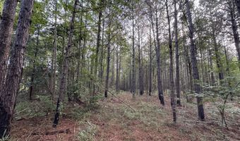 741 SE Hughs Hill Ln, Brookhaven, MS 39601