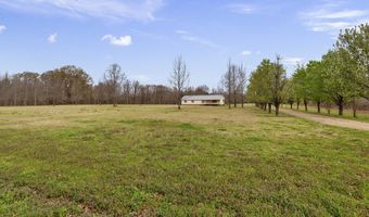 1144 Little Big Mound Rd, Bentonia, MS 39040