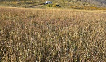 75 Sheep Horn Ct, Bellvue, CO 80512
