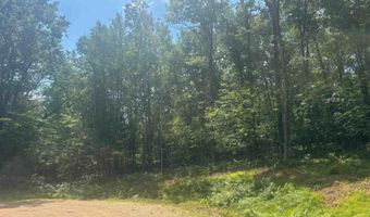 SWAN BAY Road 6, Amberg, WI 54102