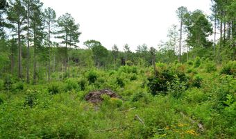 Lot 3 TBA MELITA RD 3, Arvonia, VA 23004