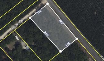 Royer Road lot 1 2 3, Bishopville, SC 29010