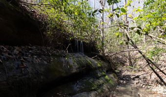 Soapstone Road, Baldwin, GA 30511