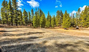 265 Placer Dr Lot 10, Alma, CO 80420