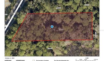 COUNTY ROAD 445A, Astor, FL 32102