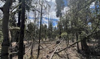Lot 54 Vermejo Cir, Angel Fire, NM 87710