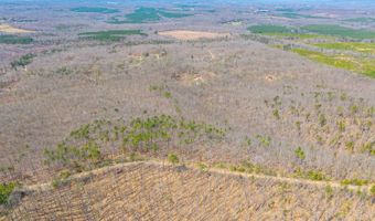Larkin Mountain, Amherst, VA 24521