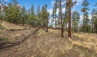 14 County Rd 2074, Alpine, AZ 85920