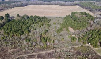 S Waller Rd, Bald Knob, AR 72010