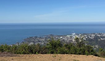 Jodel CT 3, Brookings, OR 97415